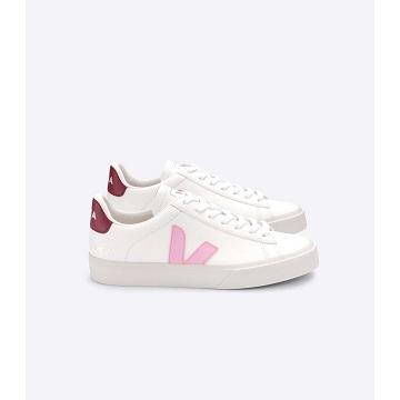 Veja CAMPO CHROMEFREE Low Tops Sneakers Heren White/Pink | NL 193WNB